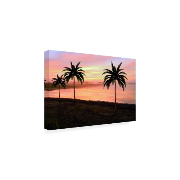 Ata Alishahi 'Sunset At The Beach' Canvas Art,12x19